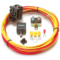 Painless Wiring Fuel Pump Relay Kit With 30amp Relay PW50102