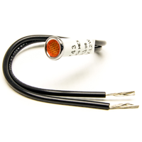 Painless Wiring 5/16" Dash Indicator Light 12-Volt, Amber PW80203
