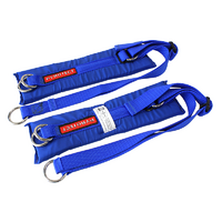 Pyrotect Adult Blue Arm Restraints
