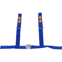 RCI 4 Point 2" Street Racing Harness Blue Non SFI