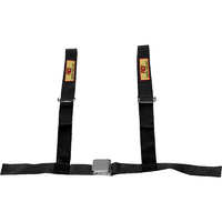 RCI 4 Point 2" Street Racing Harness Black Non SFI