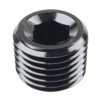 Raceworks Fitting NPT Plug 1/4'' RWF-932-04BK