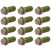 Extractor/Header Bolts 3/8"-16 x 3/4" Long set of 12 Gold Finish