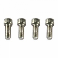 Bolt Set 1/4-20" x 1/2" Long Chrome Socket Head Set 4