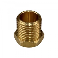 Brass Temp Bush Reducer 1/8" (8.4mm) Female NPT Thread to 3/8" (17mm) Male NPT Thread