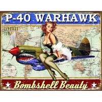 P-40 Warhawk Metal Sign Reproduction 41cm x 32cm