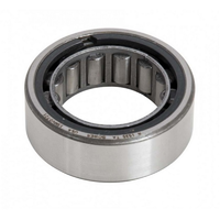 Strange Pinion Tail Bearing Suit OEM for Ford & Strange 9" Iron and Aluminium cases