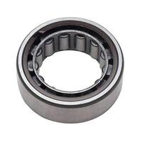Strange Daytona & 12 Bolt Front Pinion Bearing