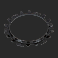 Strange Tail Bearing Retainer Ring