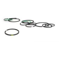 TCI 64-'86 C4 Seal Ring Kit.