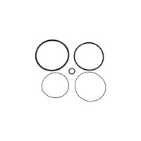 Turbosmart BOV Big Bubba O-Ring Kit