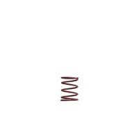 Turbosmart GenV WG38/40 7psi Pink Middle Spring