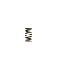 Turbosmart GenV WG60 3psi Inner Spring