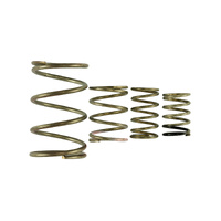 Turbosmart GenV WG38/40 Spring Replacement Kit