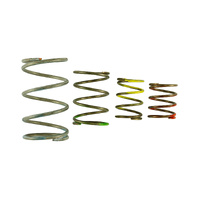 Turbosmart GenV WG45/50 Spring Replacement Kit