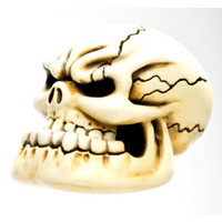 Vanchase Gear Shift Knob Punchy Skull