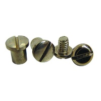 Vintique 1928-1932 Pivot Bolt & Nut Set