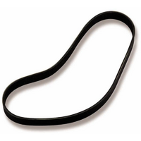 Weiand Pro-Street Serpentine Supercharger Belt