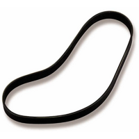 Weiand Supercharger Belt 10 Ribs Length 45.5 in. 6 in