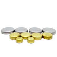 Premier welch welsh plug kit for Holden Commodore 3.8 Ecotec V6 VS VT VU VX VY